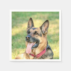 German shepard pappersservett