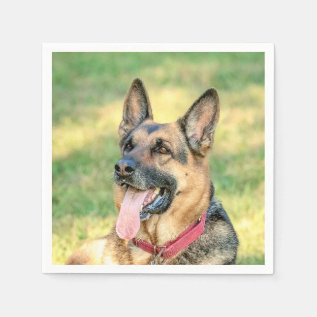 German shepard pappersservett (Framsidan)