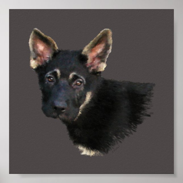 German shepard Puppy Poster (Framsidan)