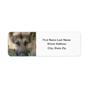 German shepard returadress etikett