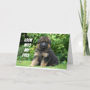 GERMAN SHEPARD SAYS "LYCKLIG 40:e" Kort