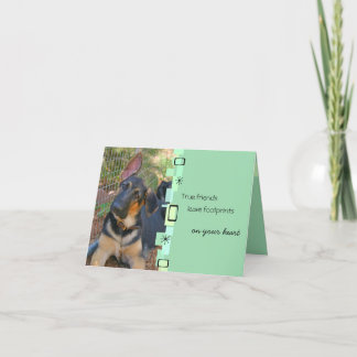 German Shepherd Birthday Greeting Card Kort
