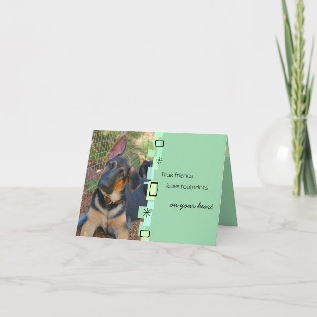 German Shepherd Birthday Greeting Card Kort (Framsida)