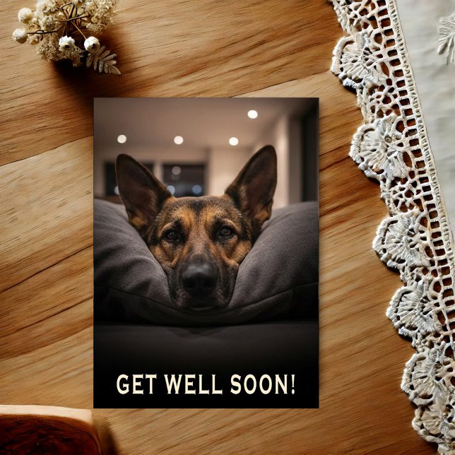 German Shepherd Get Well Postcard Vykort (Skapare uppladdad)