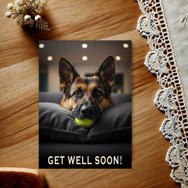 German Shepherd Get Well Postcard Vykort (Skapare uppladdad)