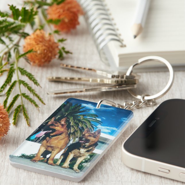 german shepherd group (Högra Framsidan)