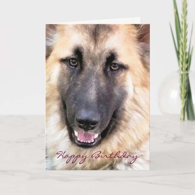GERMAN SHEPHERD KORT (Framsida)