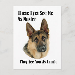 German Shepherd Master Vykort