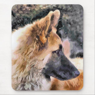 GERMAN SHEPHERD MUSMATTA