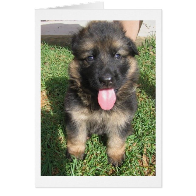 german shepherd puppy.png hälsningskort (Framsidan)