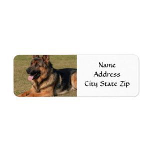 *GERMAN SHEPHERD* RETURN ADRESS-ETIKETT RETURADRESS ETIKETT