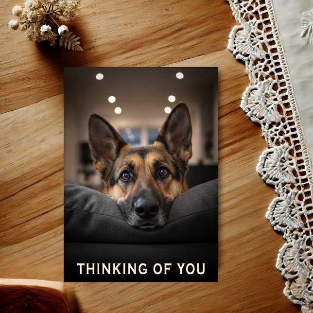 German Shepherd Thinking Of You Postcard Vykort (Skapare uppladdad)