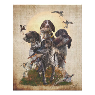 German Shorthaired Pointer Fototryck