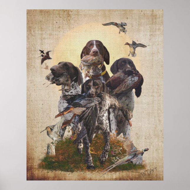 German Shorthaired Pointer     Poster (Framsidan)
