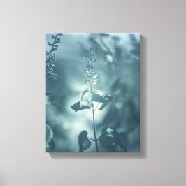 Germander Blommigt Nature Photo Canvastryck