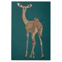 GERNUK & SOCKERGLIDFLYGPLAN