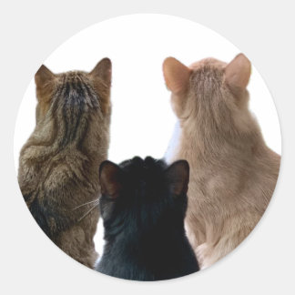 Geronimo, Henri & Floyd Sticker Runt Klistermärke