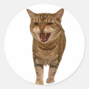 Geronimo Sticker - Meving! Runt Klistermärke