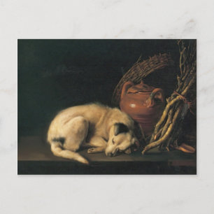 Gerrit Dou- A Spipande Hund med Terracotta Pot Vykort
