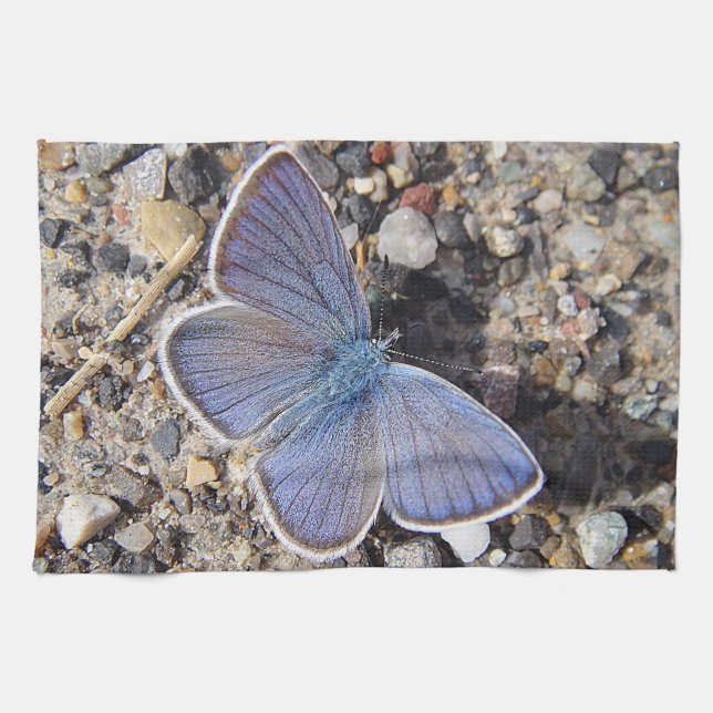 Geschirrtuch blauer Schmetterling Kökshandduk (Horisontell)