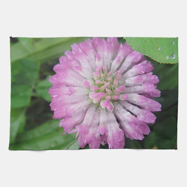 Geschirrtuch rosa Kleeblüte mit Wassertropfen Kökshandduk (Horisontell)