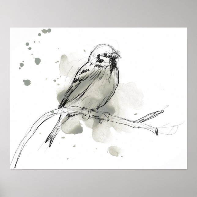 Gestural Bird Study Poster (Framsidan)
