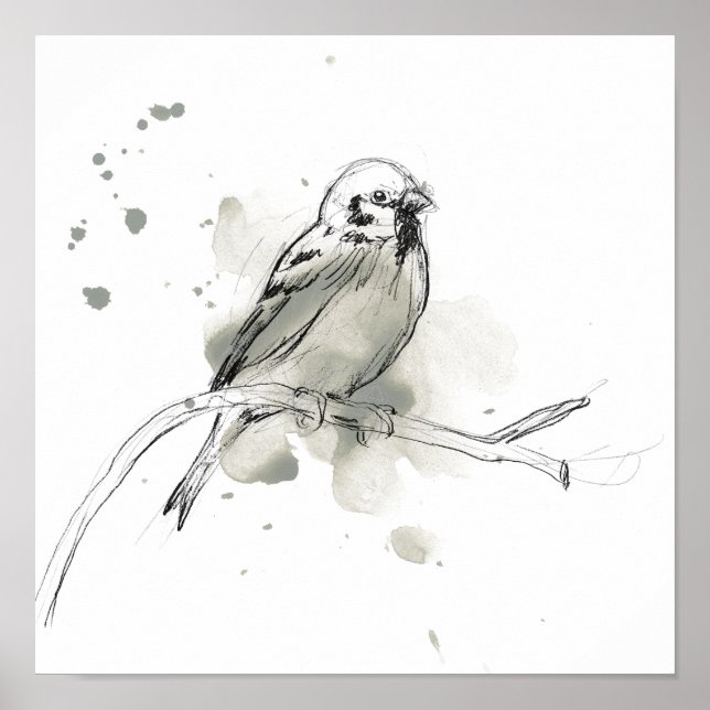 Gestural Bird Study Poster (Framsidan)