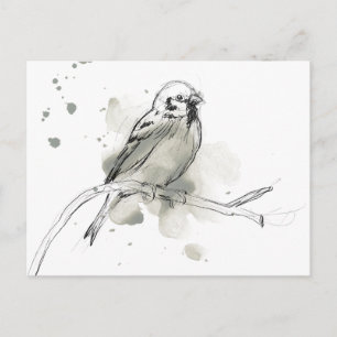Gestural Bird Study Vykort