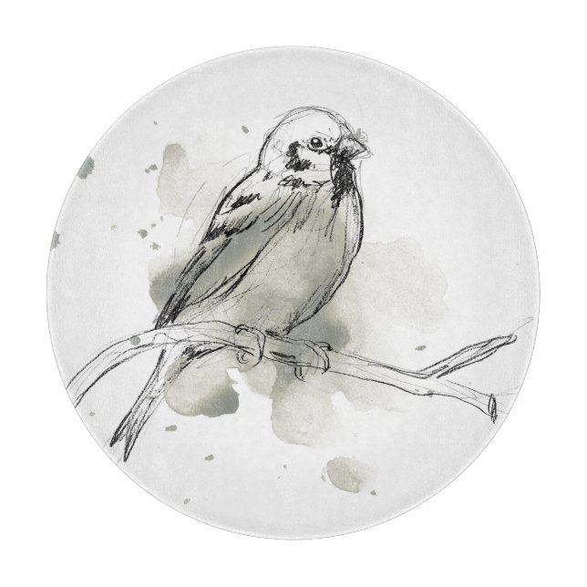 Gestural fågelstudie (Framsidan)