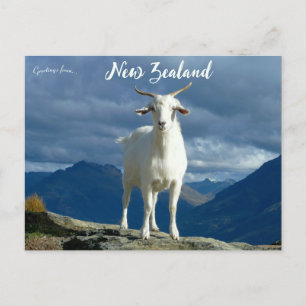 Get i Queenstown Nya Zeeland Vykort