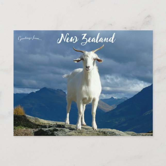 Get i Queenstown Nya Zeeland Vykort (Framsida)