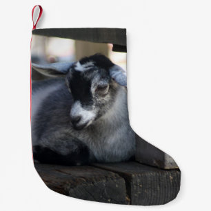 Get Liten Julstrumpa