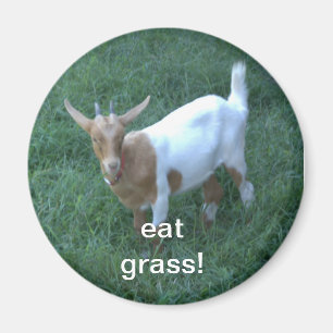 get magnet