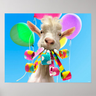 Get med partyblåsare poster