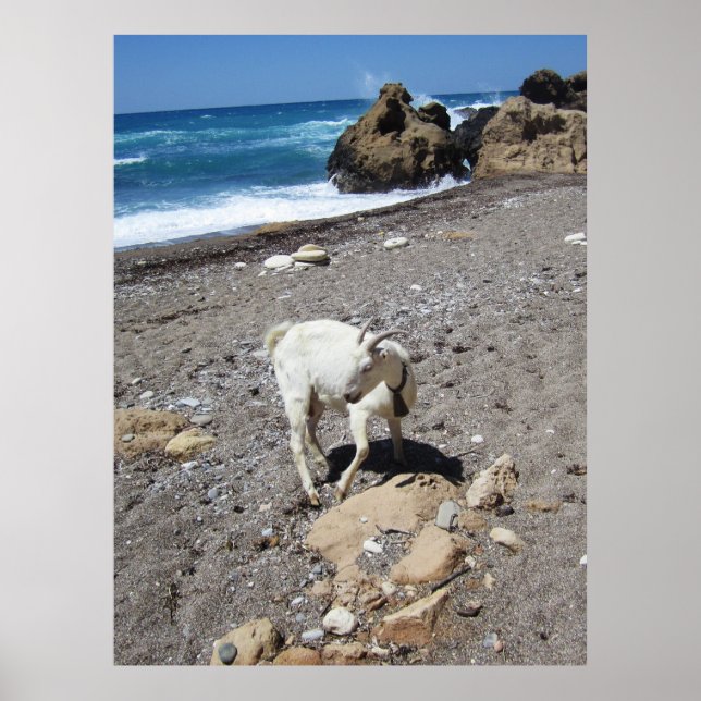 Get på stranden poster (Framsidan)