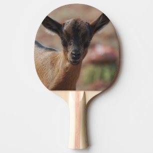 Get Pingisracket