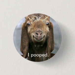 Get pooping. knapp