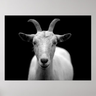 Get Poster
