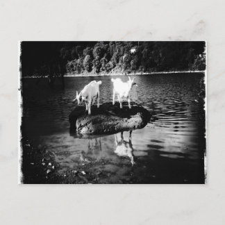 Get Power Postkort Vykort