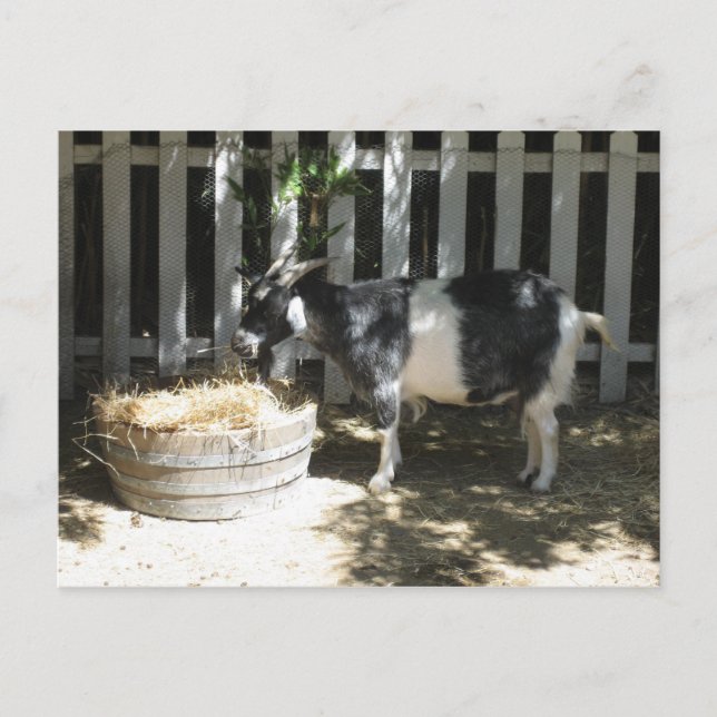 get vykort (Framsida)