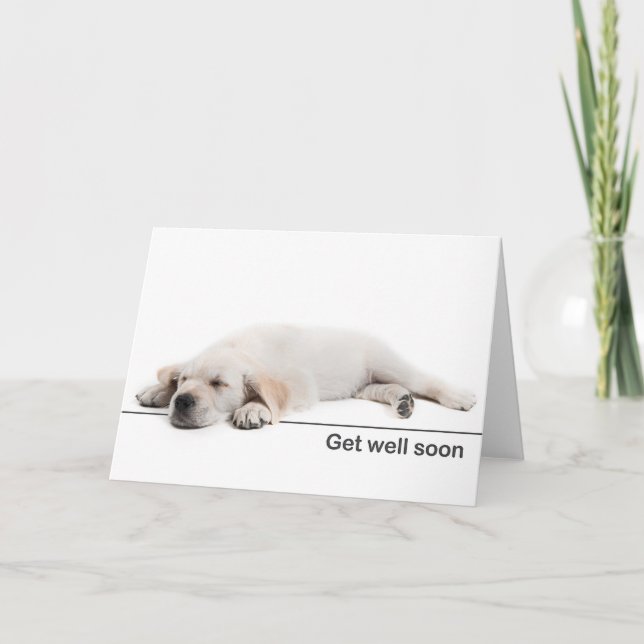 Get well card Golden retriever puppy Kort (Framsida)