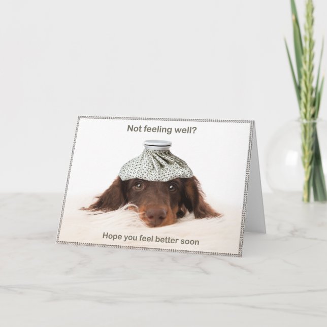 Get well card with a dachshund hound dog kort (Framsida)