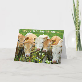 Get Well Soon  Ranch Farm Cattle Country Flowers Kort