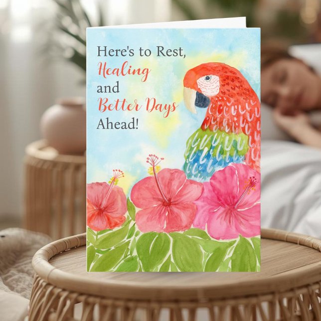Get Well Soon with Scarlet Macaws and Hibiscus Kort (Skapare uppladdad)