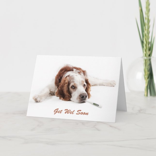 Get well with Welsch Springer Spaniel dog Kort (Framsida)