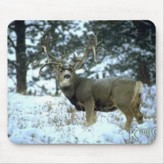 GetAttachment Musmatta