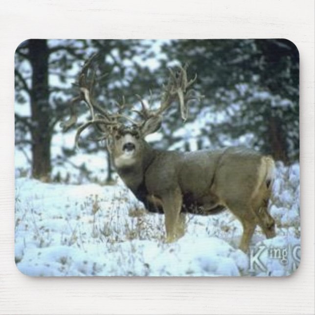 GetAttachment Musmatta (Framsidan)