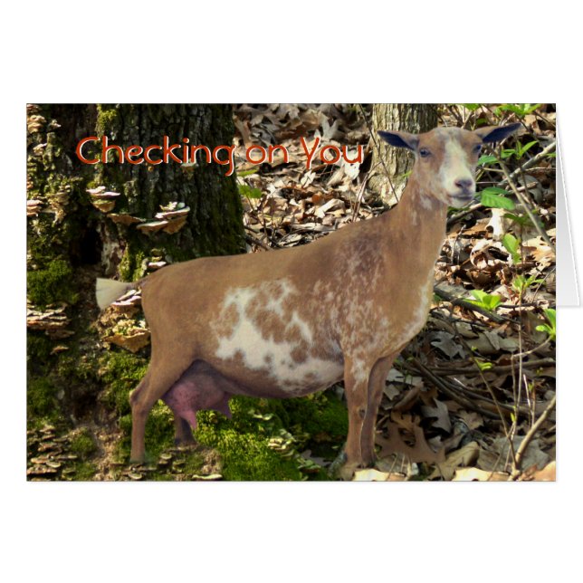 Geten för den Carmel skräddarsy den mini- Hälsningskort (Framsidan Horizontal)