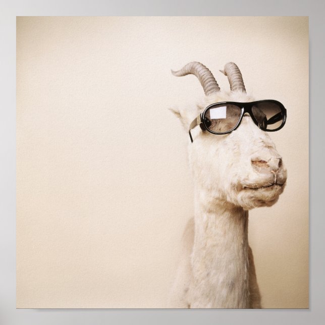 geten poster (Framsidan)