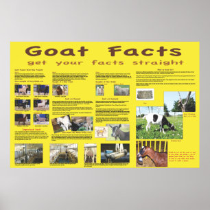 Getfaktumaffisch 1 poster